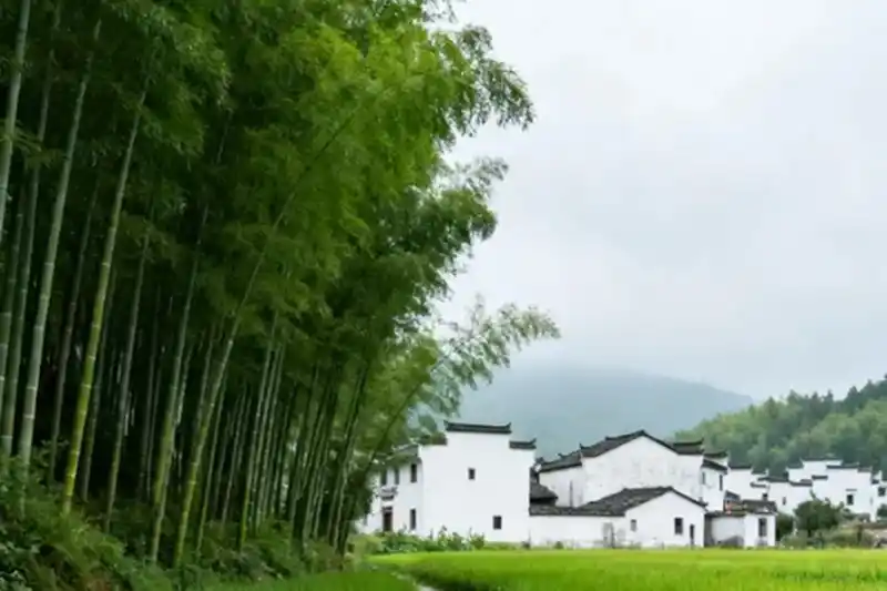 律师服务平台的法律咨询和律师事务所咨询有什么不同？